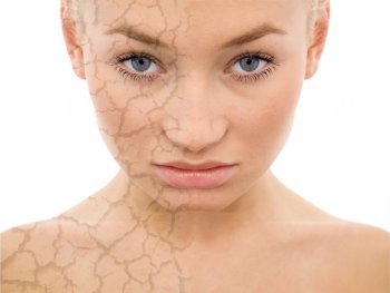 traitement cicatrices visage